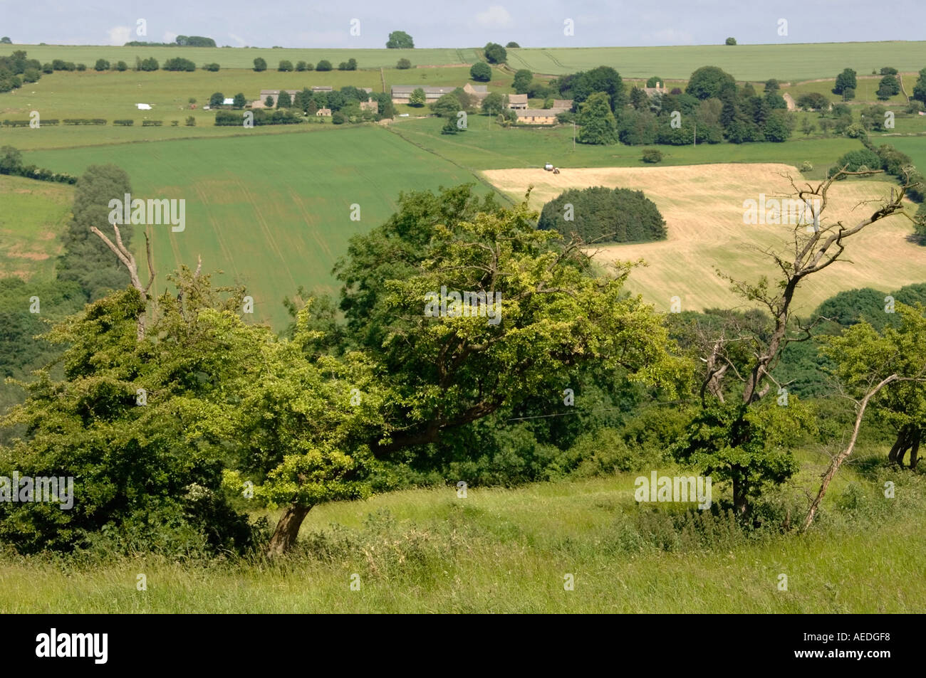 england the midlands the cotswolds view from salters hill cotswold
