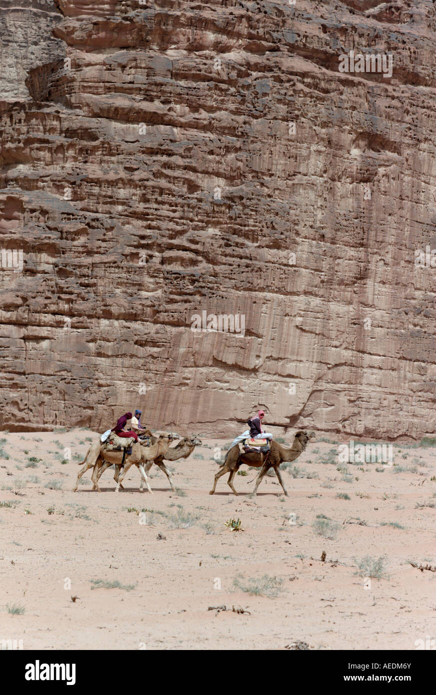 Ridden camels hi-res stock photography and images - Alamy