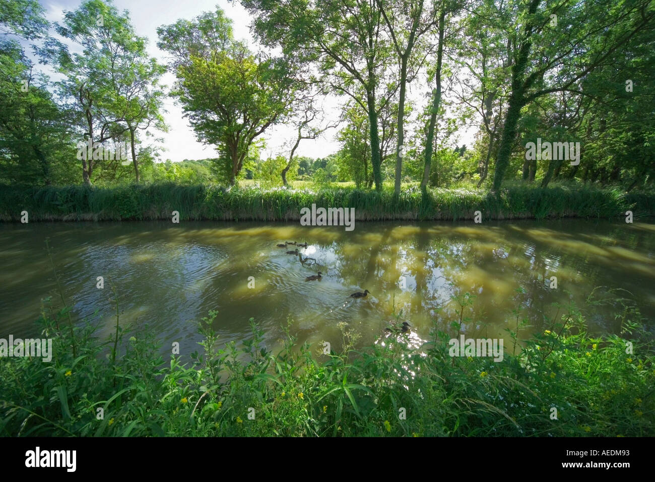 england uk united kingdom the midlands warwickshire the stratford upon avon canal wilmcote locks Stock Photo