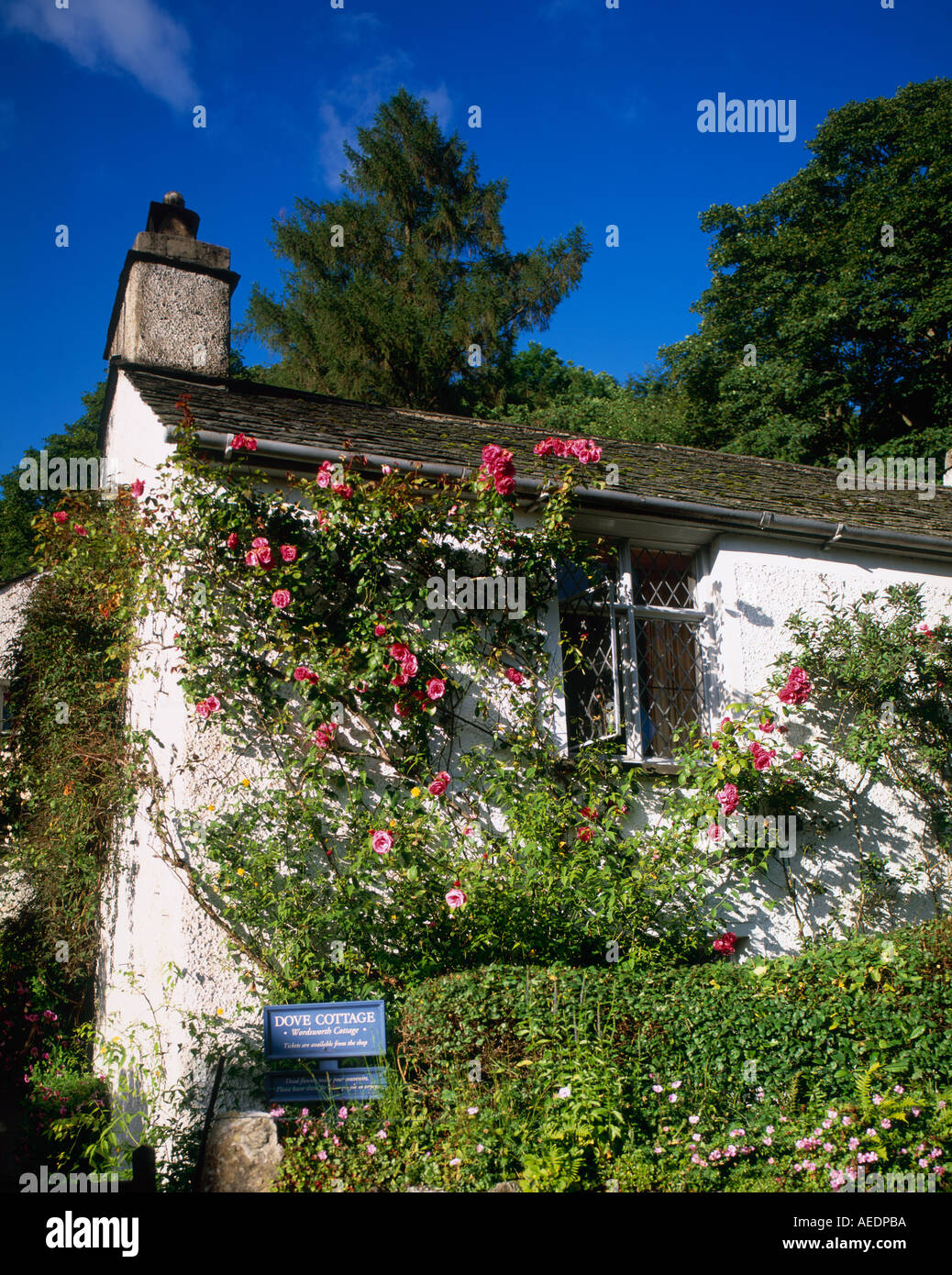 Dove Cottage Grasmere Lake District National Park Cumbria England Stock ...