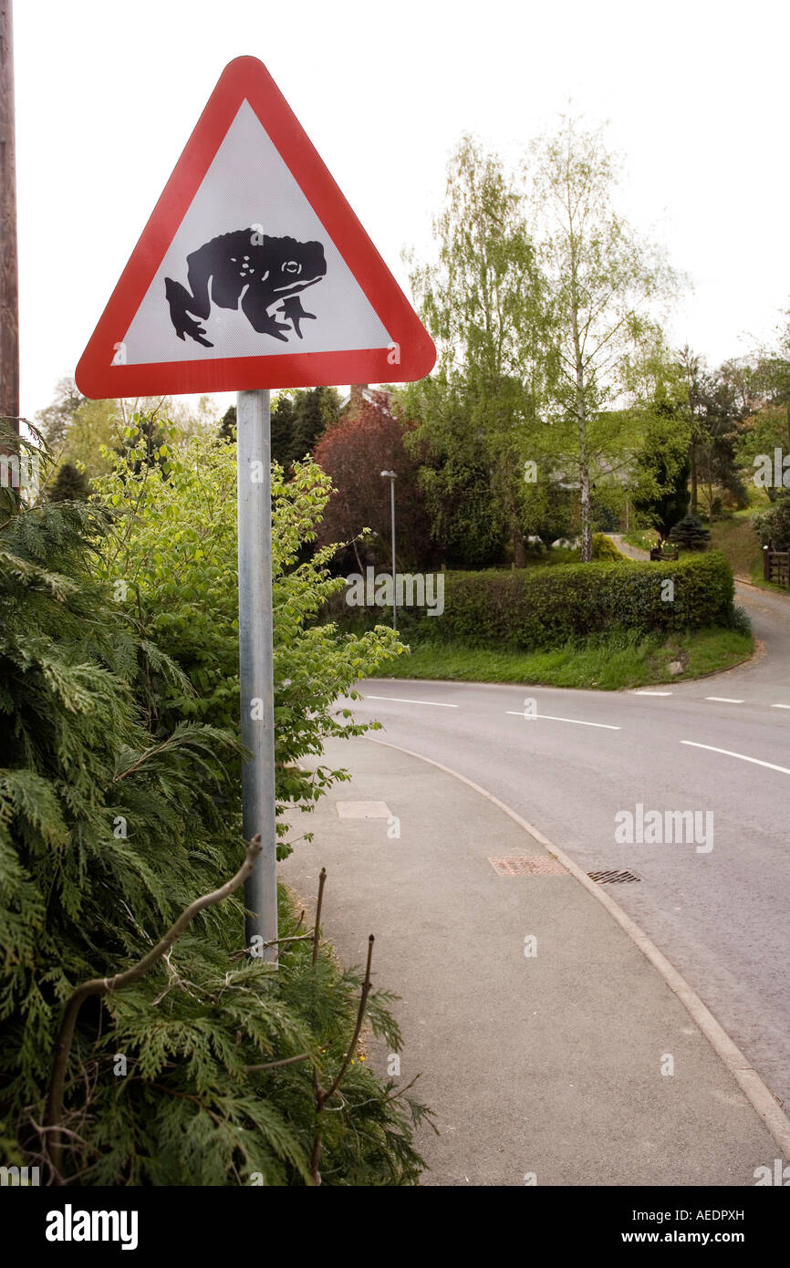 UK Wales Powys Montgomery Bishops Castle Street frog crossing road sign Stock Photo