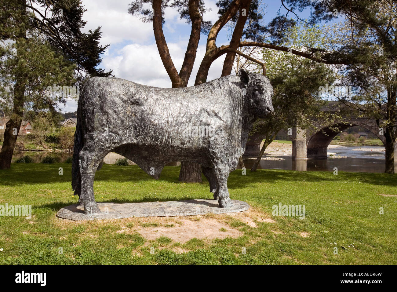 UK Wales Powys Builth Wells Bull sculpture by Gavin Fifield Stock Photo