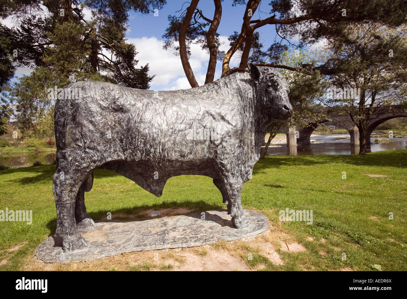 UK Wales Powys Builth Wells Bull sculpture by Gavin Fifield Stock Photo