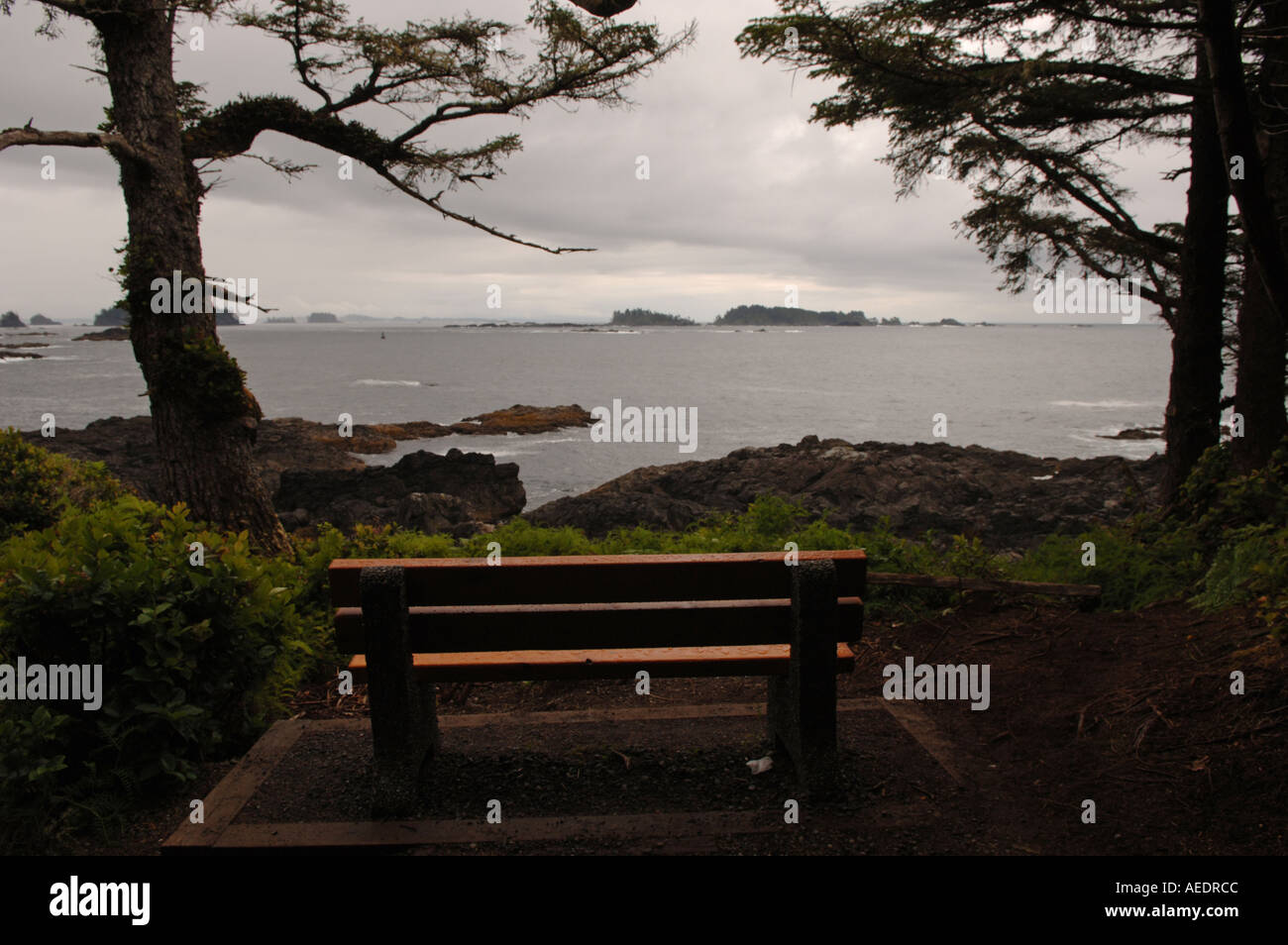 Pacific Rim Alberta Pacific Rim National Park Canada Stock Photo - Alamy
