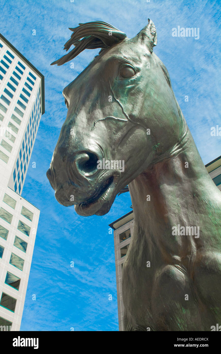 Bronze horse statues at Williams Square in Irving Texas Stock Photo Alamy