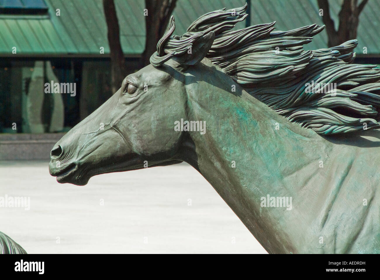 Bronze horse statues at Williams Square in Irving Texas Stock Photo Alamy
