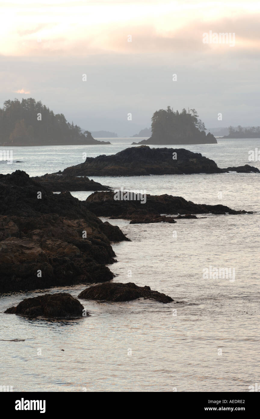 Pacific Rim Alberta Pacific Rim National Park Canada Stock Photo - Alamy