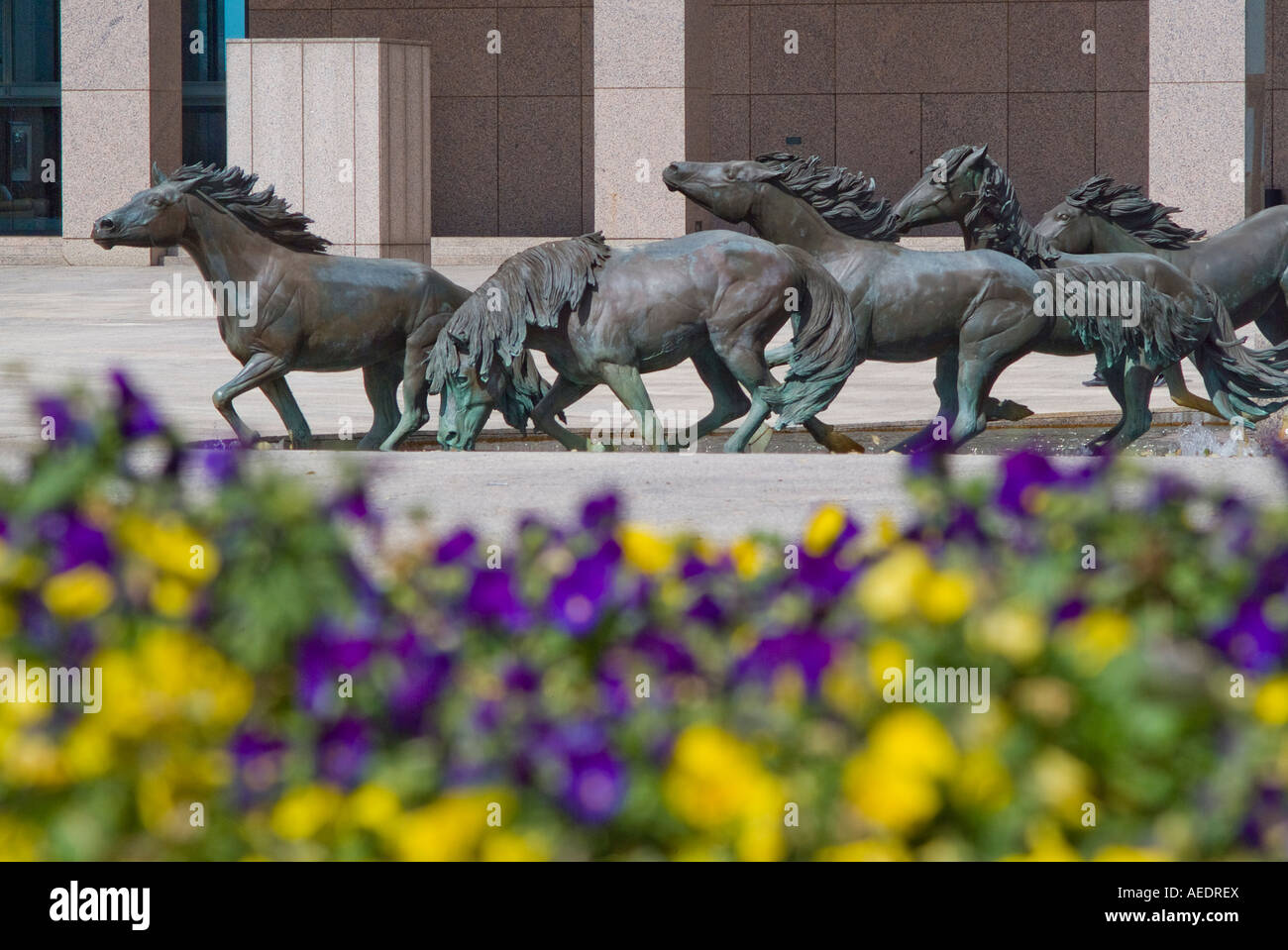 Bronze horse statues at Williams Square in Irving Texas Stock Photo Alamy