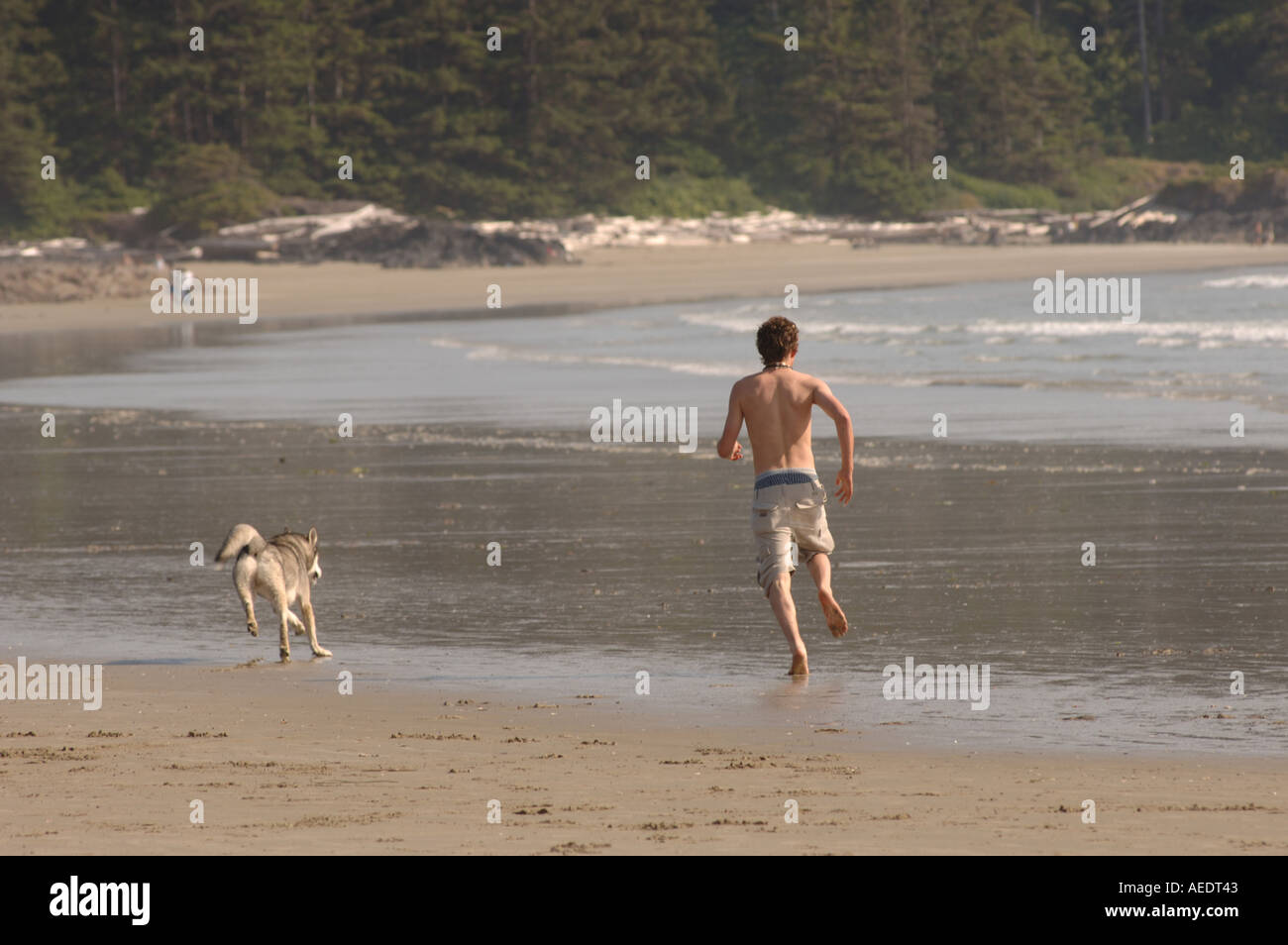 Man Chasing Dog On Beach Hi Res Stock Photography And Images Alamy Man Chasing Dog On Beach Hi Res Stock Photography And Images Alamy