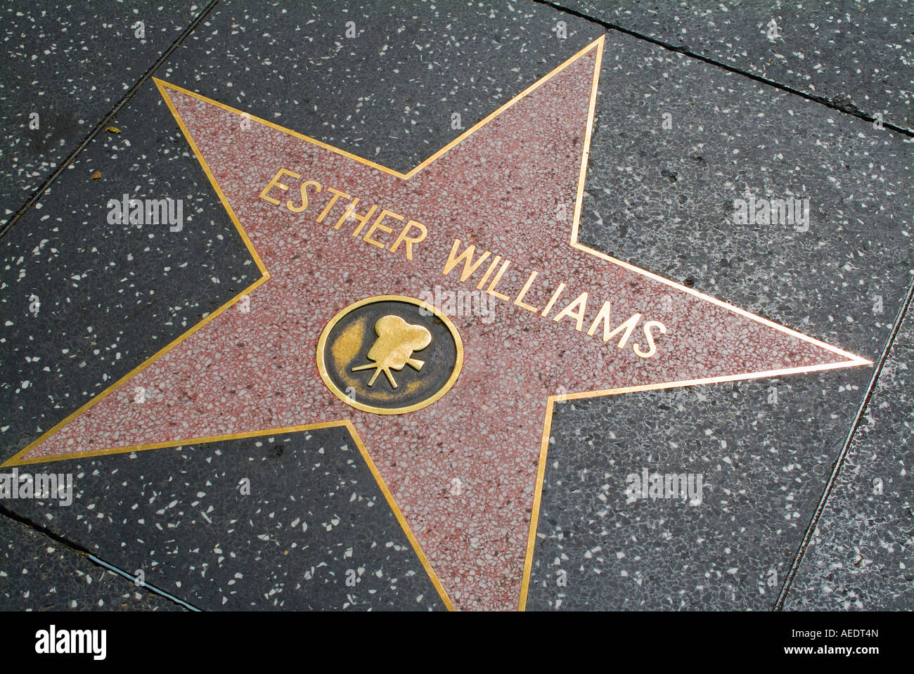 Stars on Hollywood walk of fame in Los Angeles California USA Stock ...