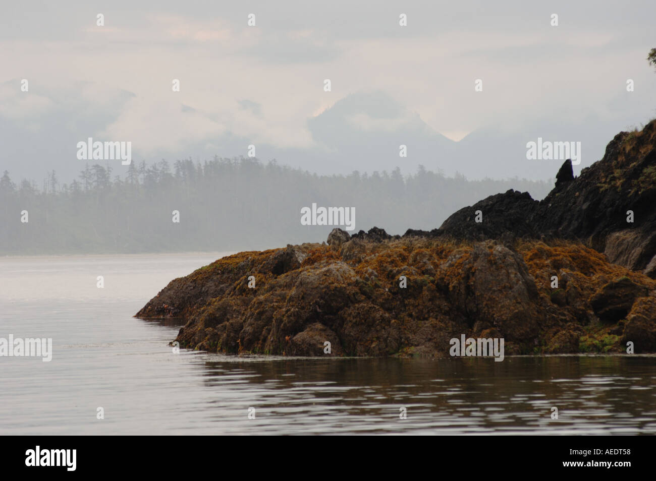 Pacific Rim Alberta Pacific Rim National Park Canada Stock Photo - Alamy