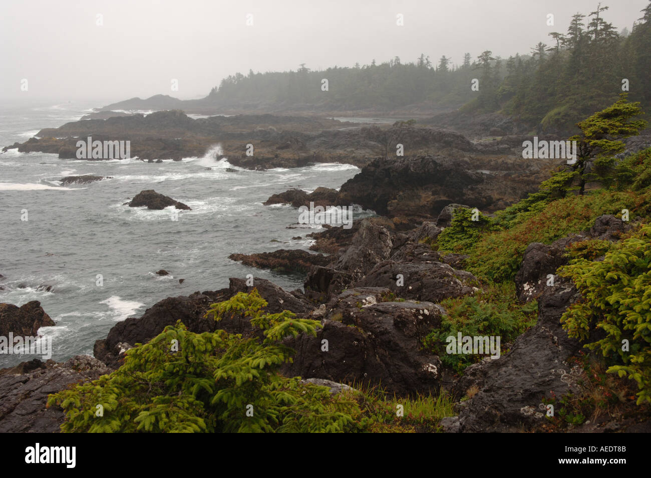 Pacific Rim National Park Canada Stock Photo - Alamy
