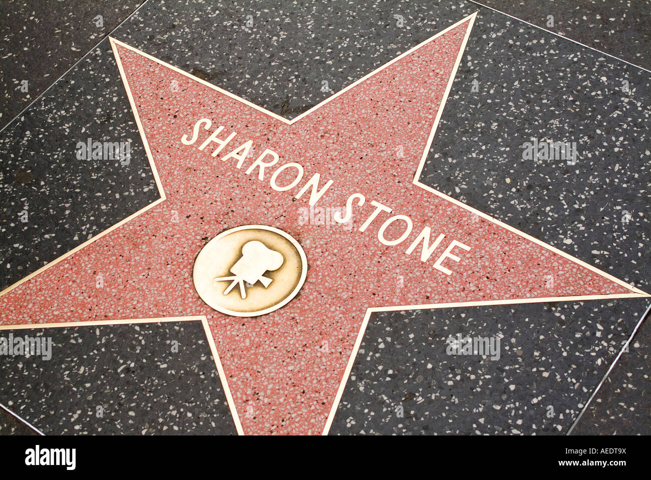Stars on Hollywood walk of fame in Los Angeles California USA Stock ...