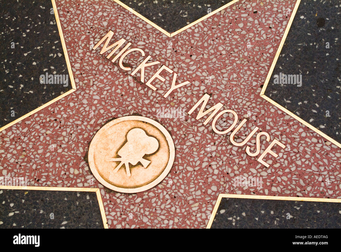 Stars on Hollywood walk of fame in Los Angeles California USA Stock