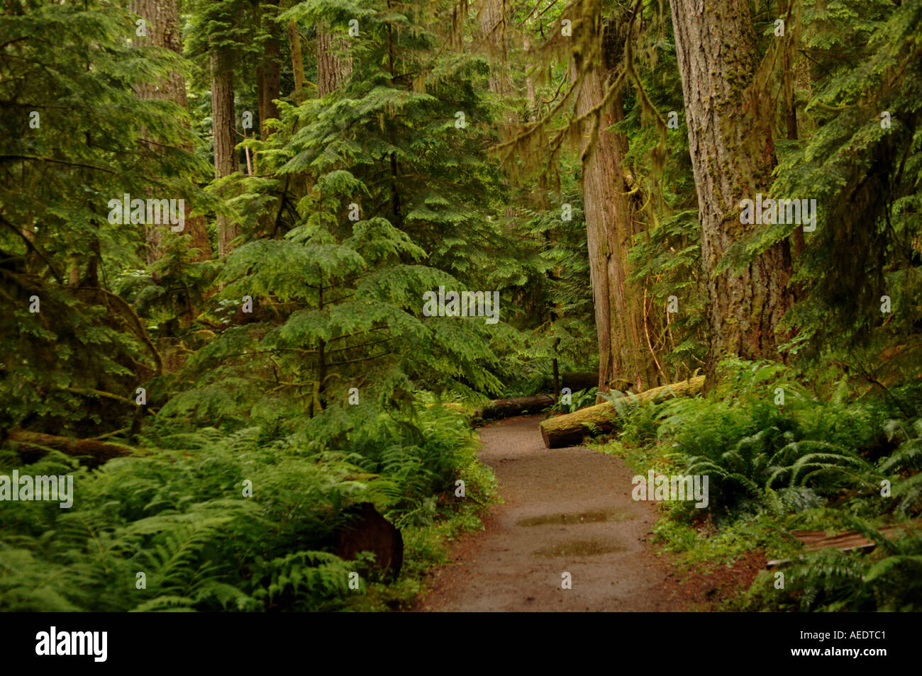 Pacific Rim National Park Canada Stock Photo - Alamy