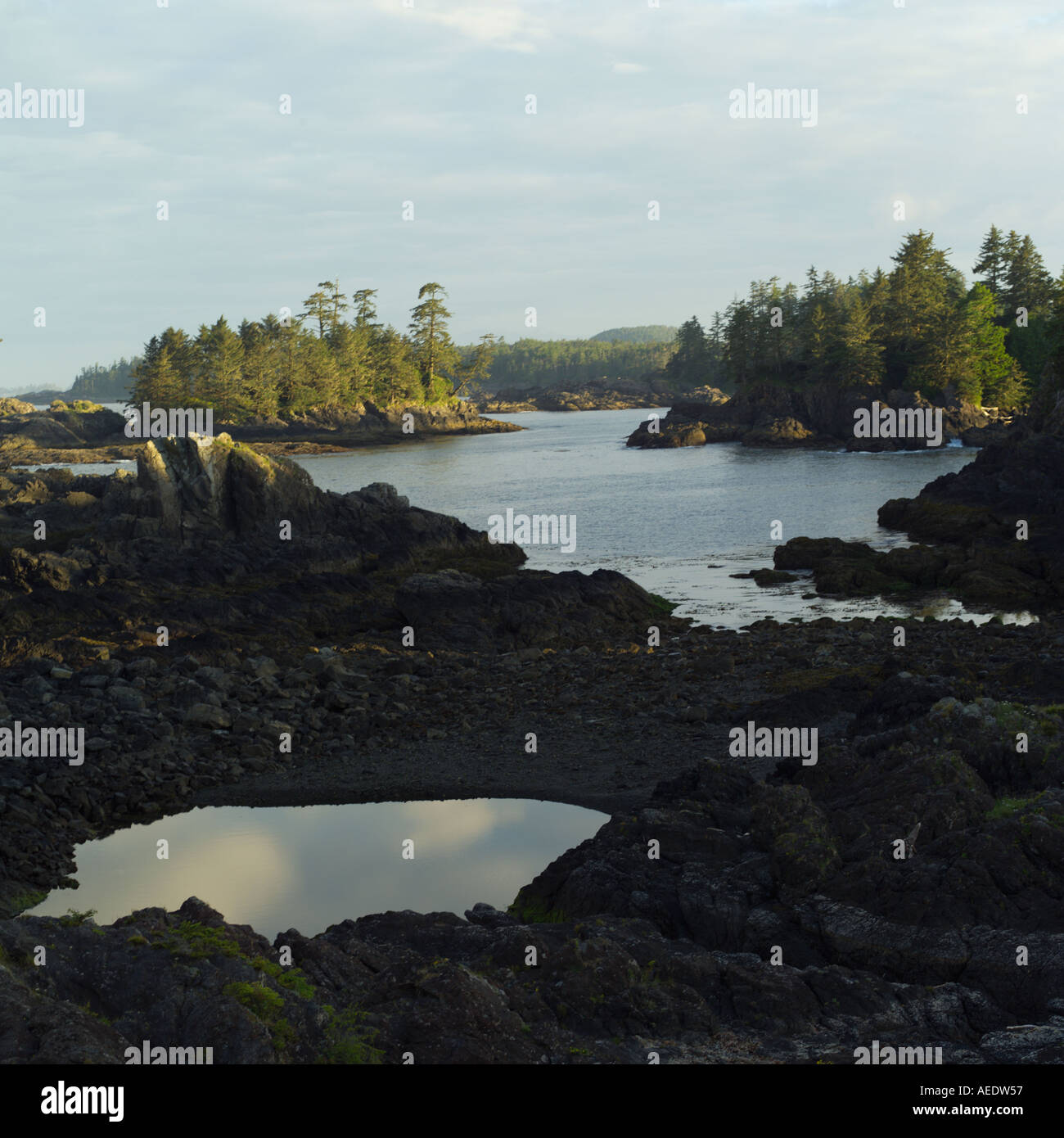 Pacific Rim Islander Pacific Rim National Park Vancouver Island Canada Stock Photo - Alamy