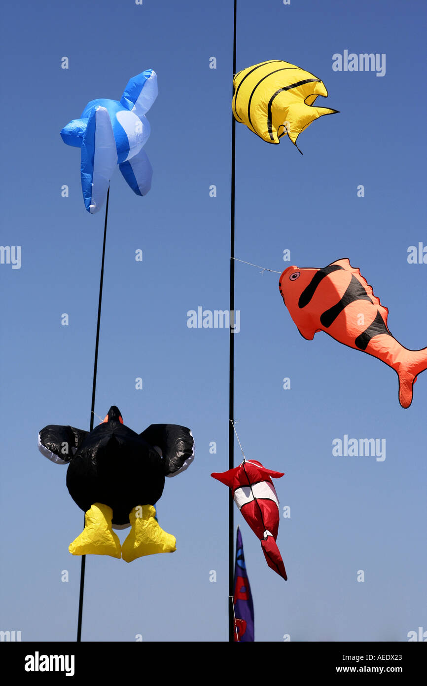 Fish kites at 2005 International Kite Festival in Newport Rhode Island