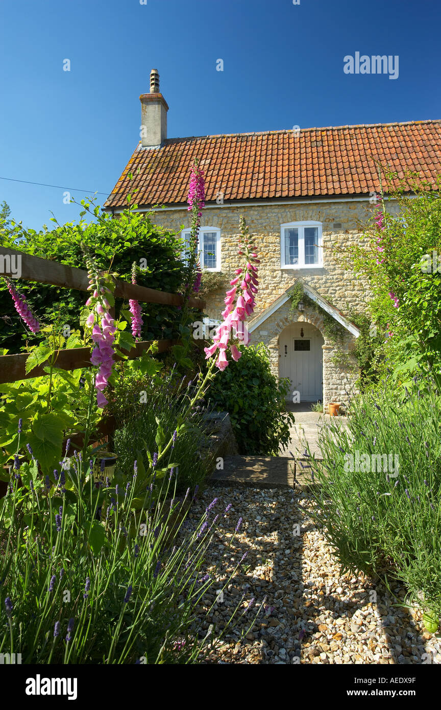 Plum Tree Cottage an English cottage property released Milborne Port