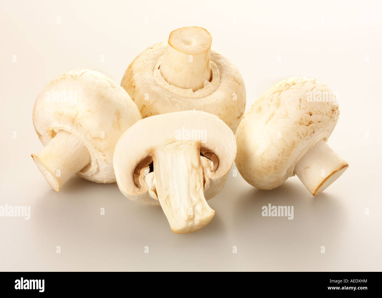 CLOSED CUP MUSHROOMS Stock Photo Alamy