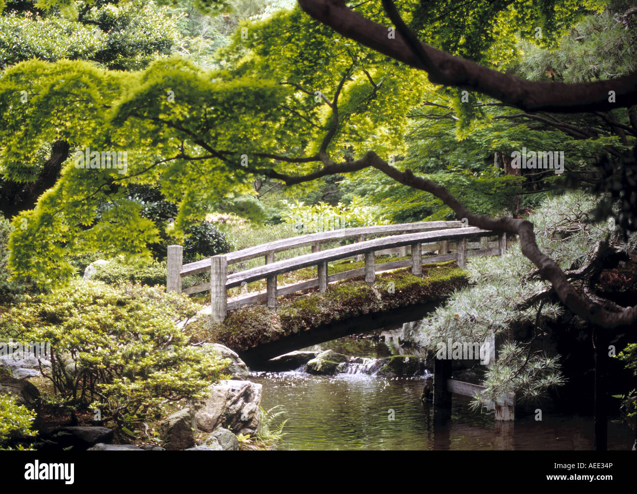 Imperial Palace Garden Stock Photo