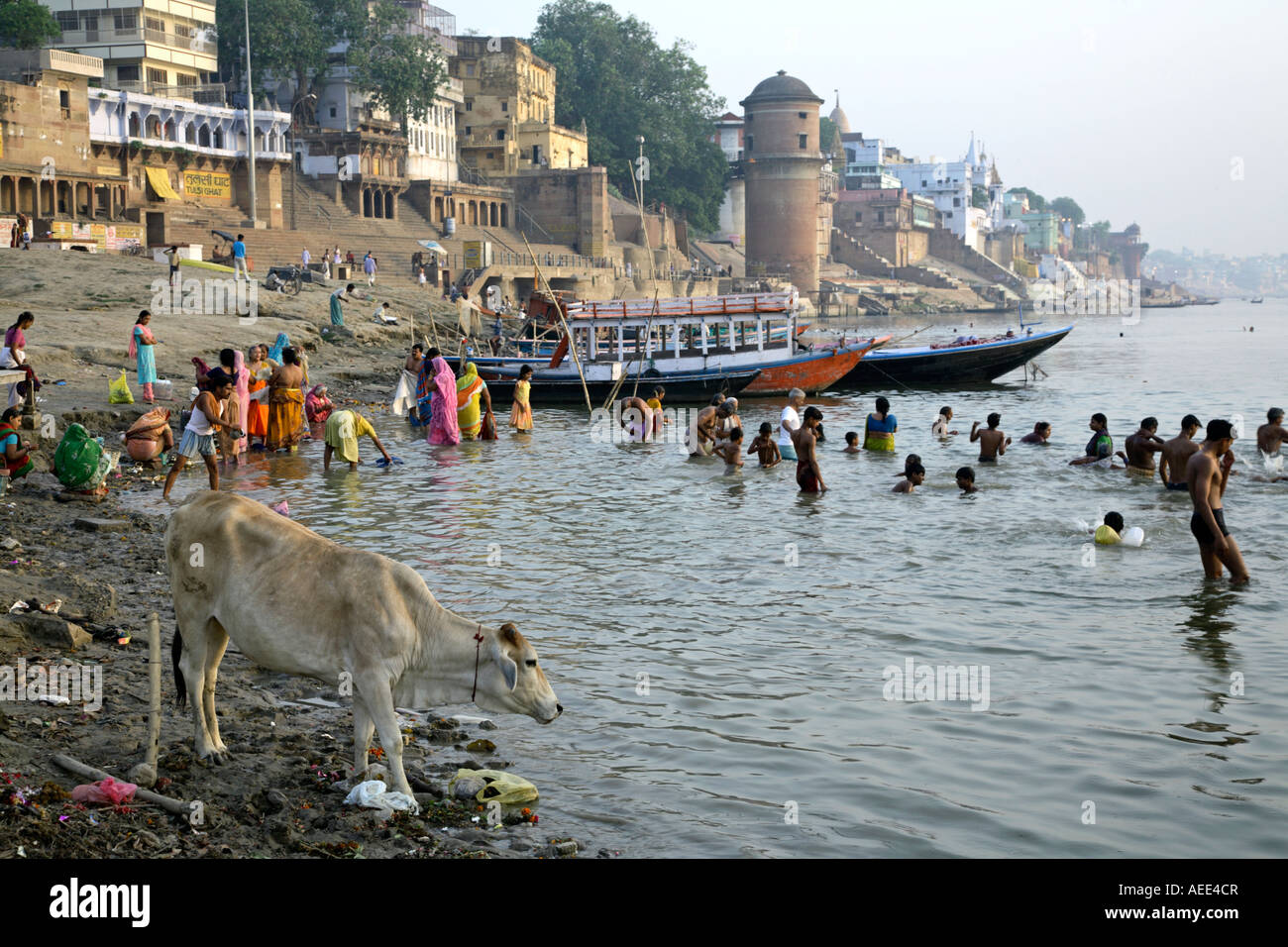 Devotees bathing in the River Ganges. Assi Ghat. Varanasi. Uttar Pradesh. India Stock Photo