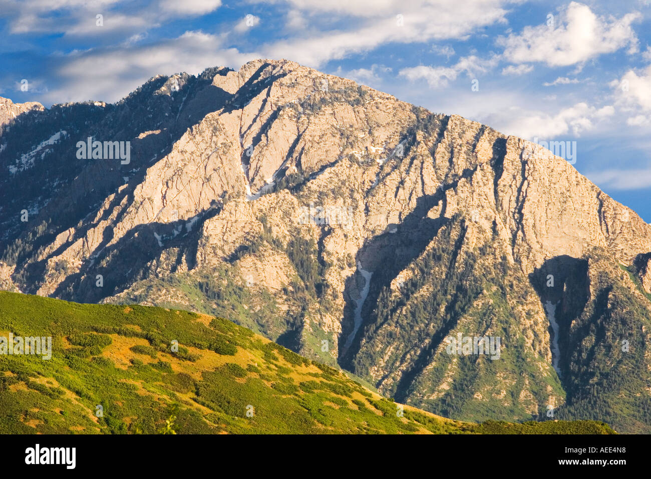 download mt olympus
