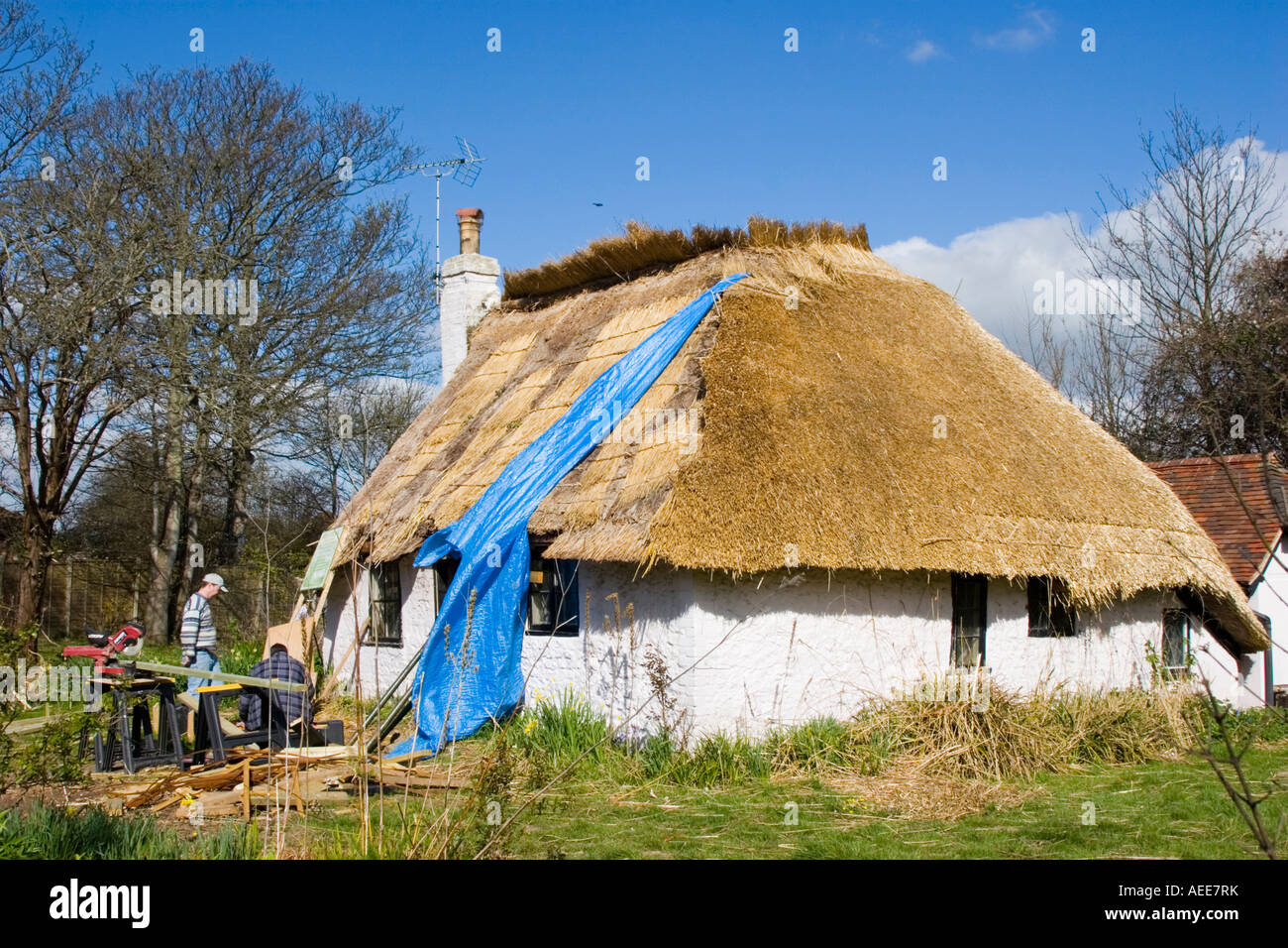 Thatched roof of cottage being renewed Stock Photo