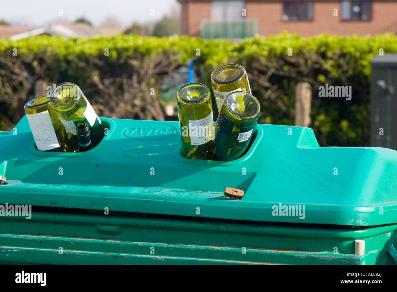 Glass recycling bin overflowing with green glass wine bottles Stock