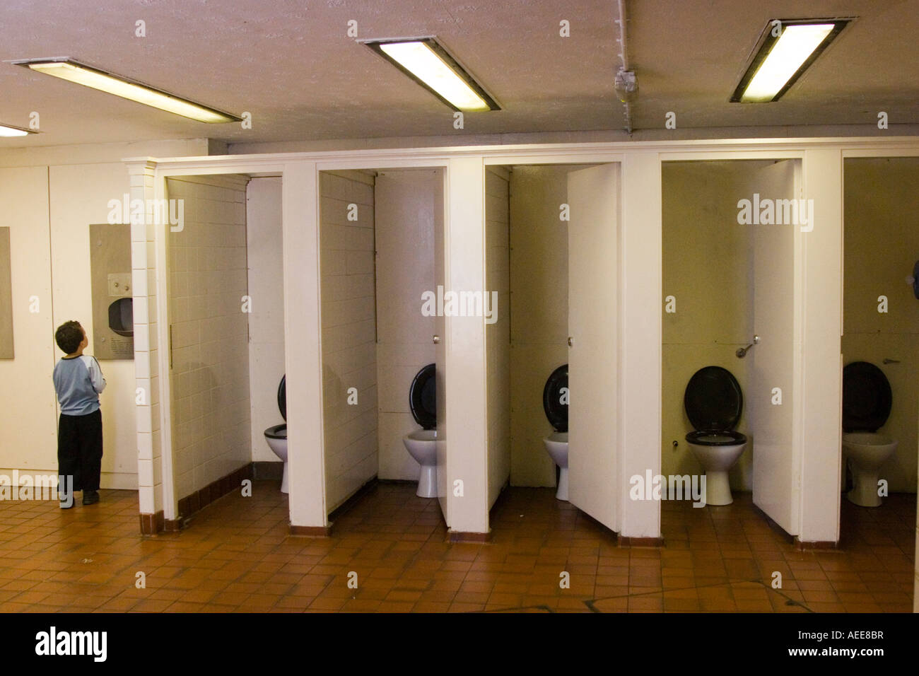 Toilet cubicles with all doors open and lids up Stock Photo