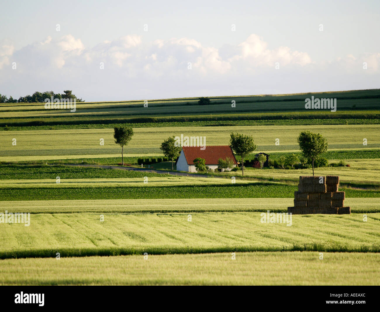 Cultivated land hi-res stock photography and images - Alamy