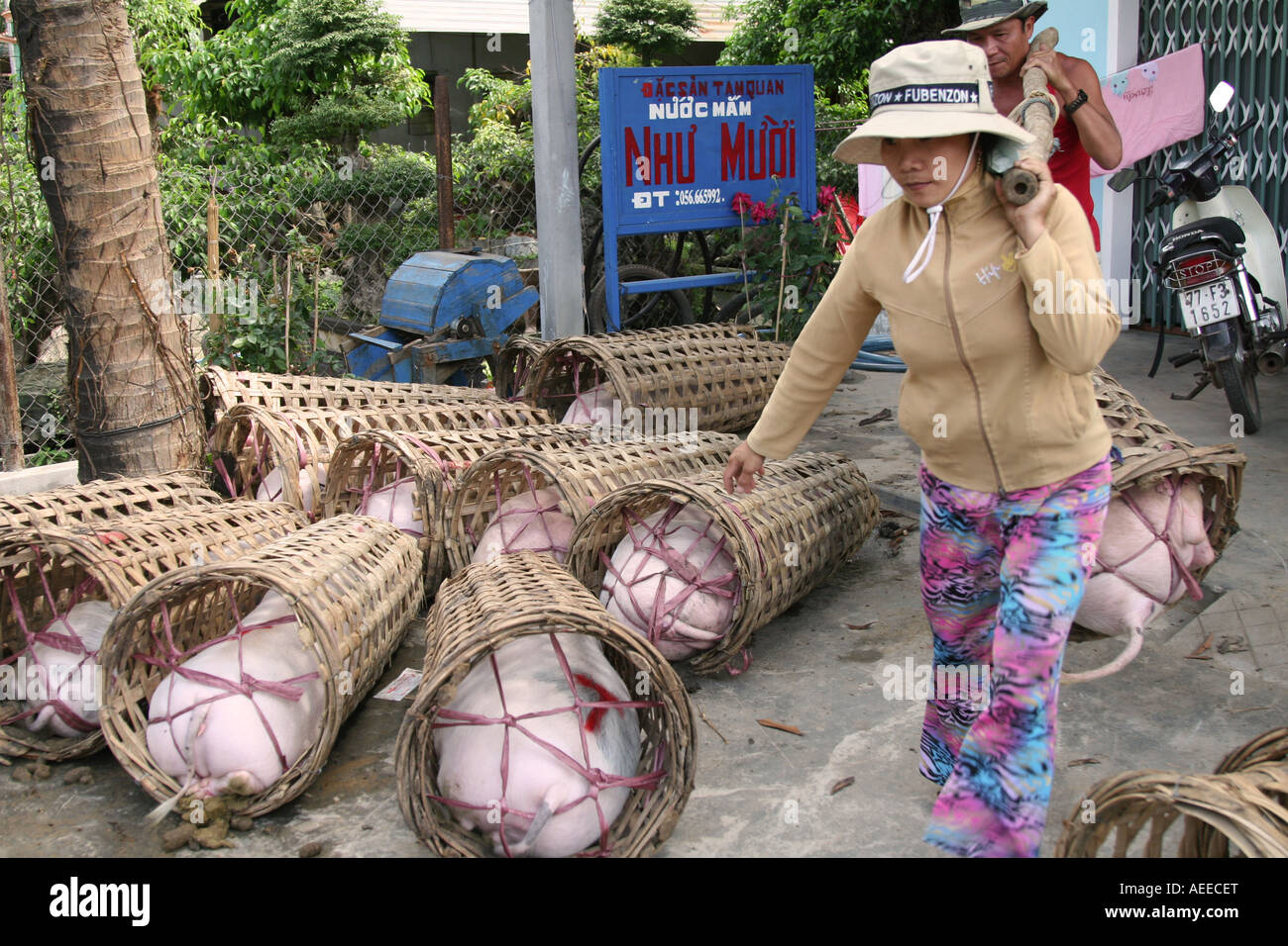 The transportation of grown pigs to the markets happens in these