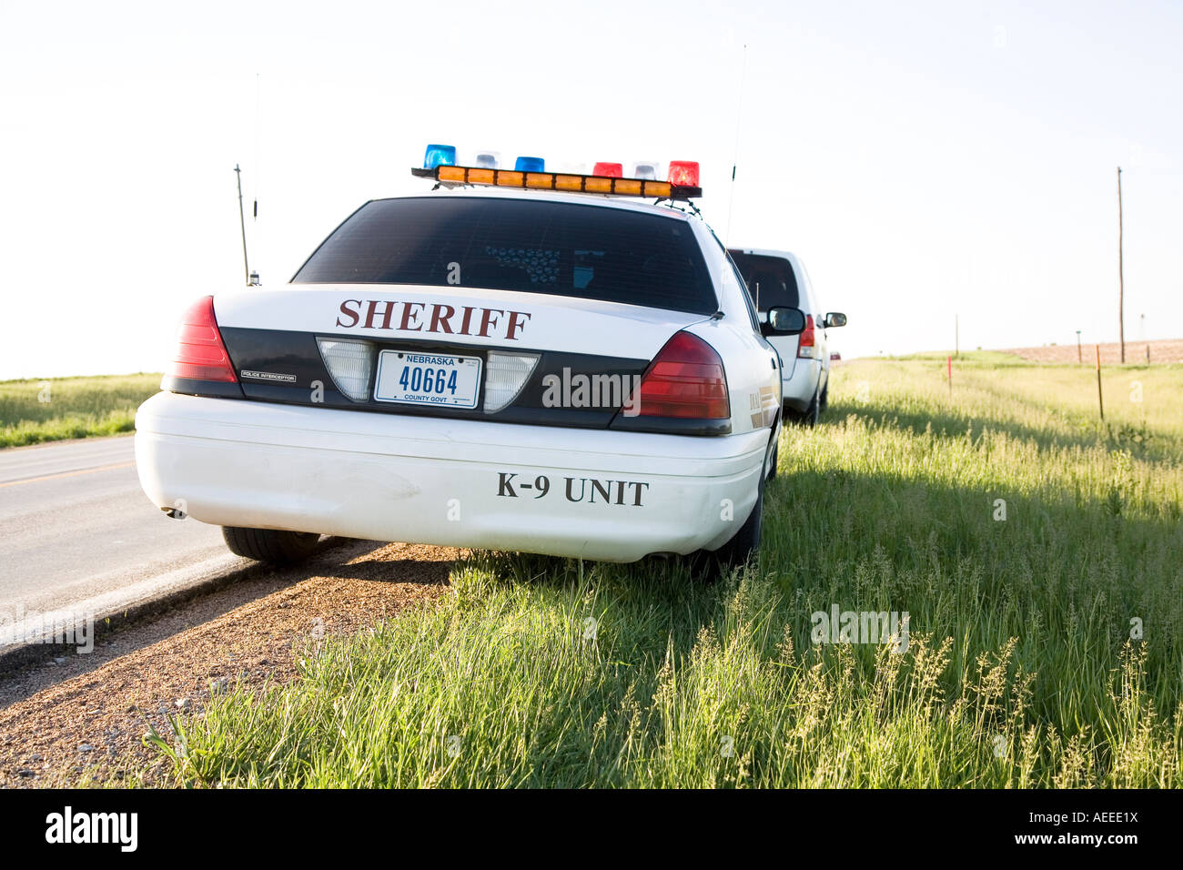 K 9 unit making a traffic stop on a rural road Saline County Sheriff s