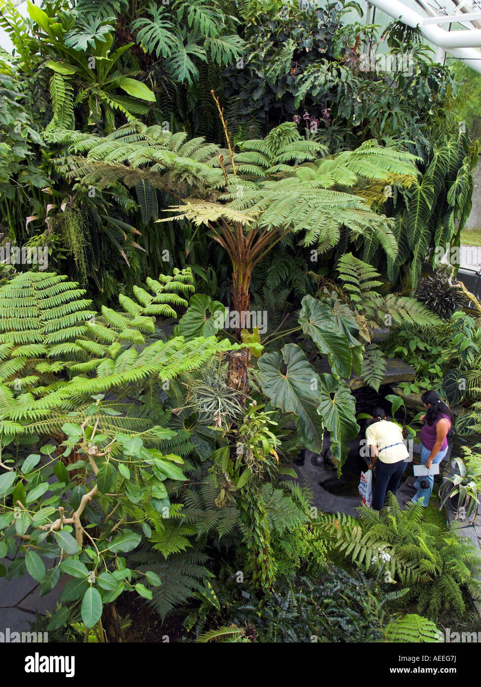 The bergius botanical garden Stock Photo Alamy