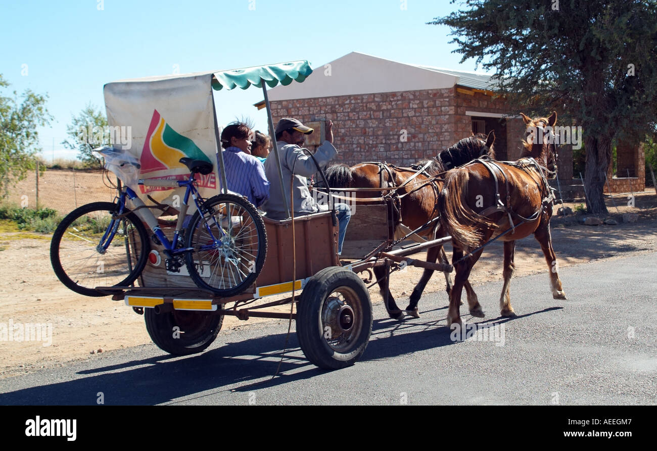 Horse drawn cart. Northern Cape South Africa RSA Stock Photo