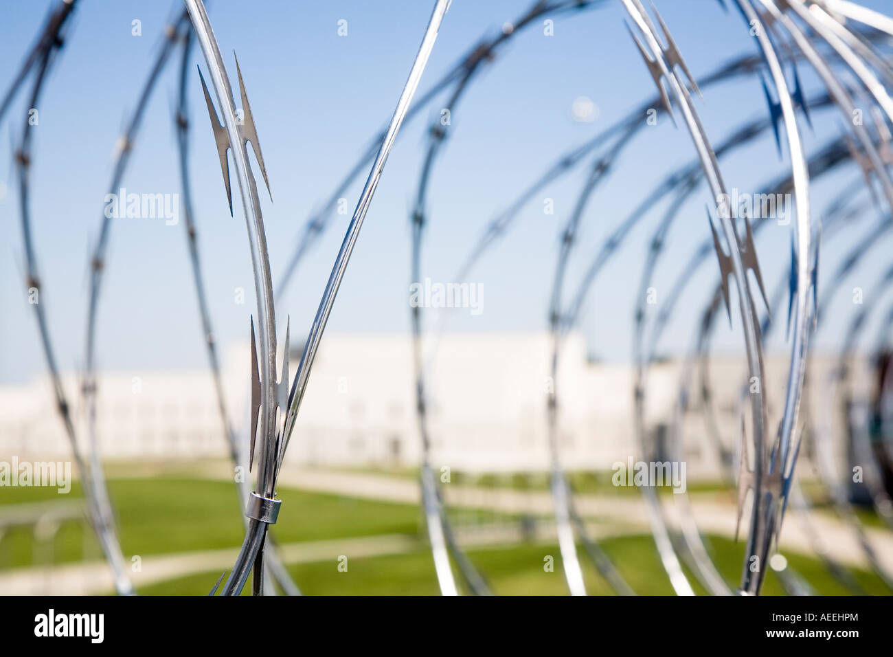 Close up of razor wire concertina wire Maximum security prison Stock Photo