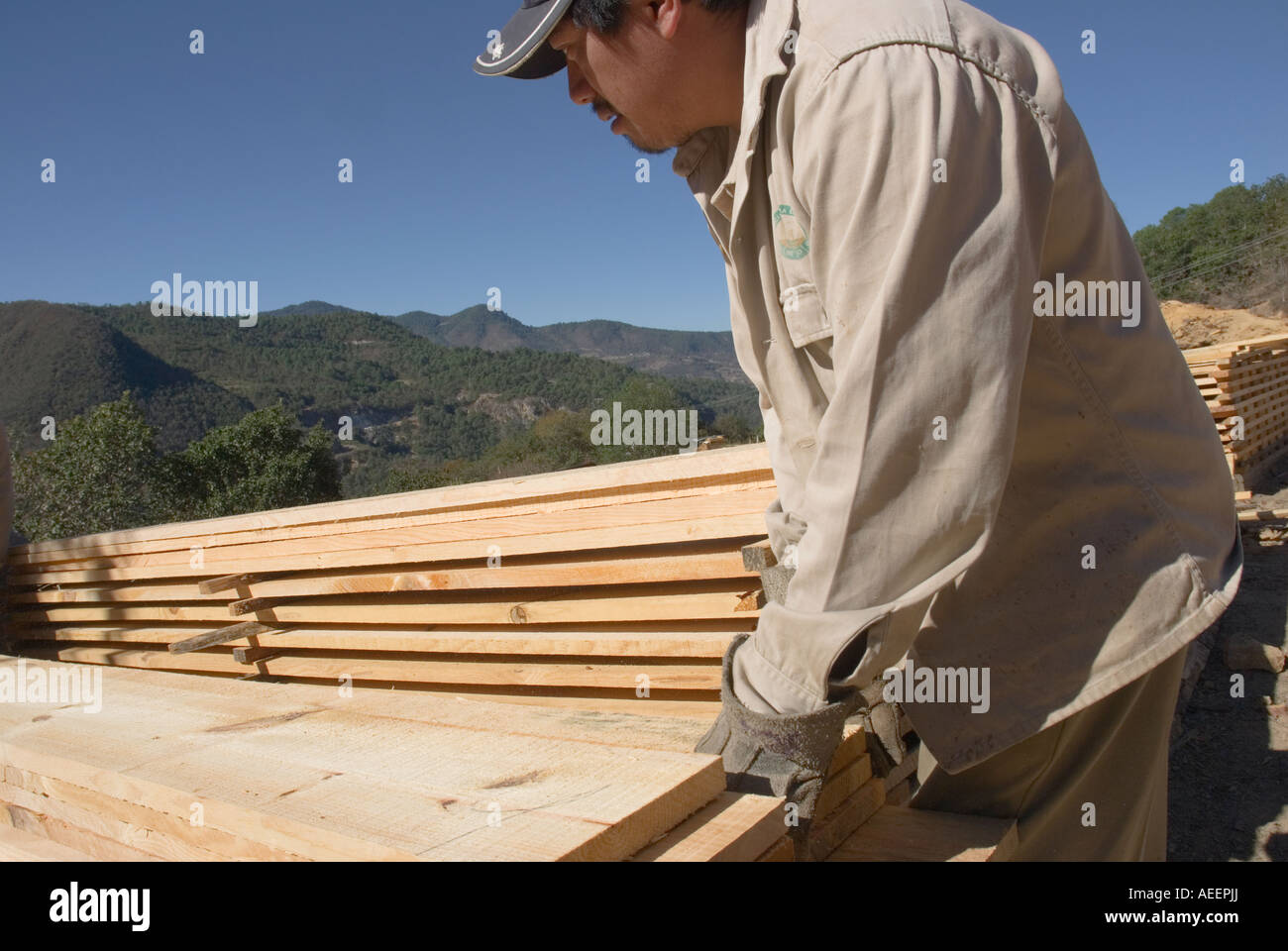 Lumber mill workers hires stock photography and images Alamy