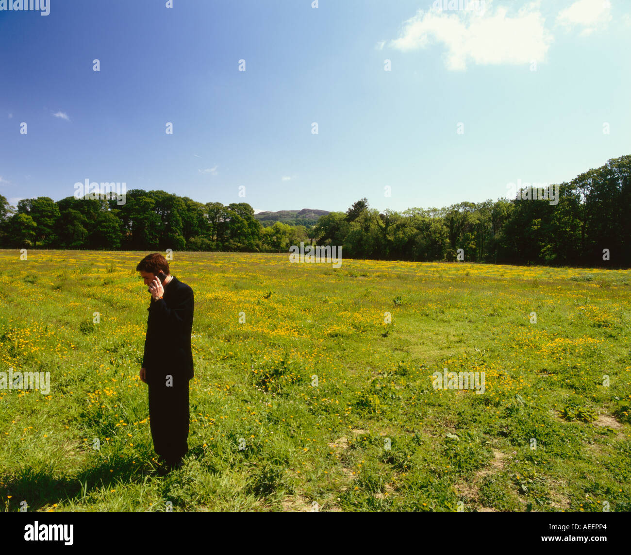 man standing talking on a cellphone in a green field Stock Photo