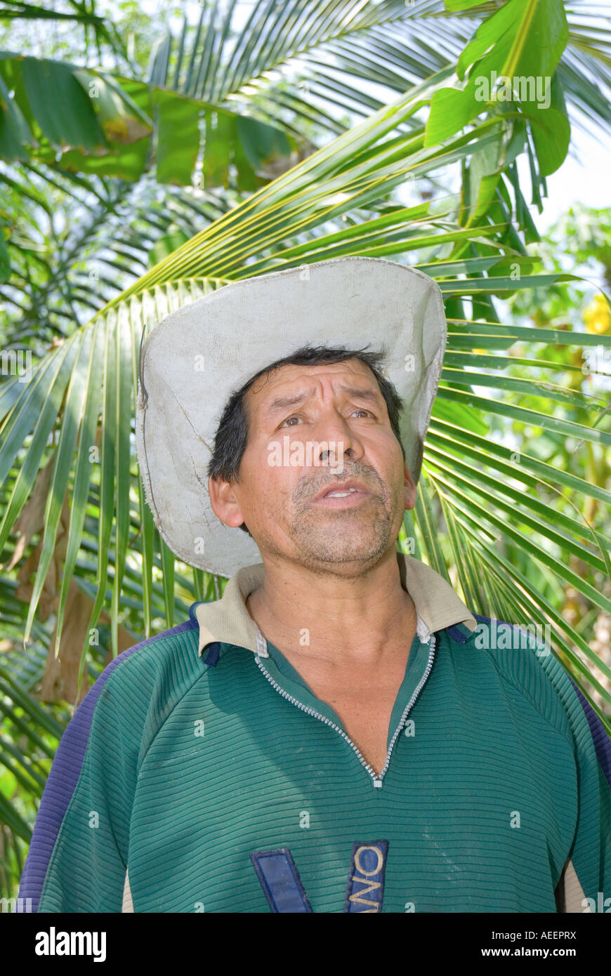 José Natividad Miranda claims that a nearby PEMEX pipeline explosion in July 2005 has permanently damaged his fruit trees Stock Photo