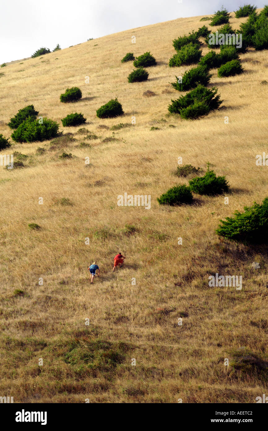 two boys climbing up a hill Stock Photo - Alamy