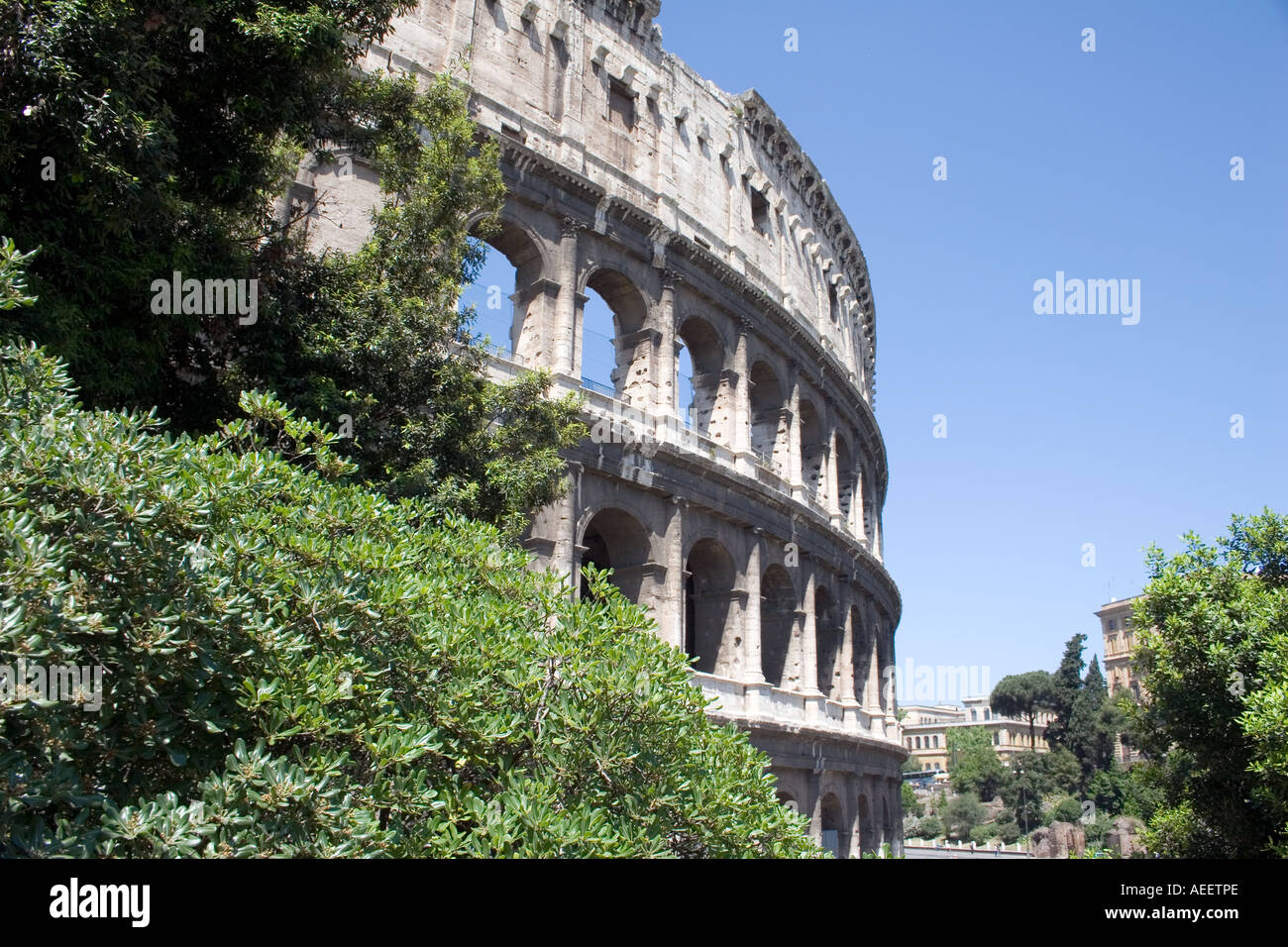 The Coliseum in Rome, Italy, Europe, Colosseum, Coliseum Stock Photo