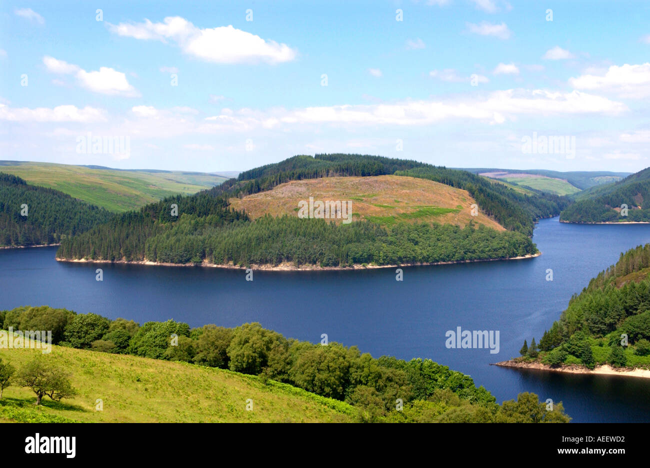 Acid rain lake hires stock photography and images Alamy