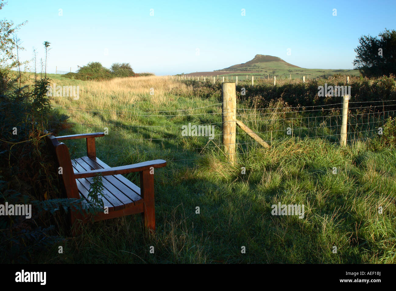 Public bench at Gribdale Gate above Great Ayton with a view over towards Roseberry Topping Stock Photo