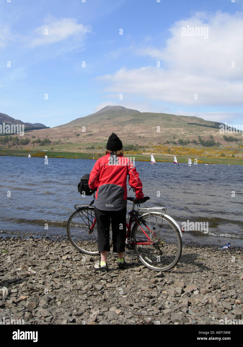 Woman cyclist on the shores of Loch Venachar watching a regatta from the sailing club Stock Photo