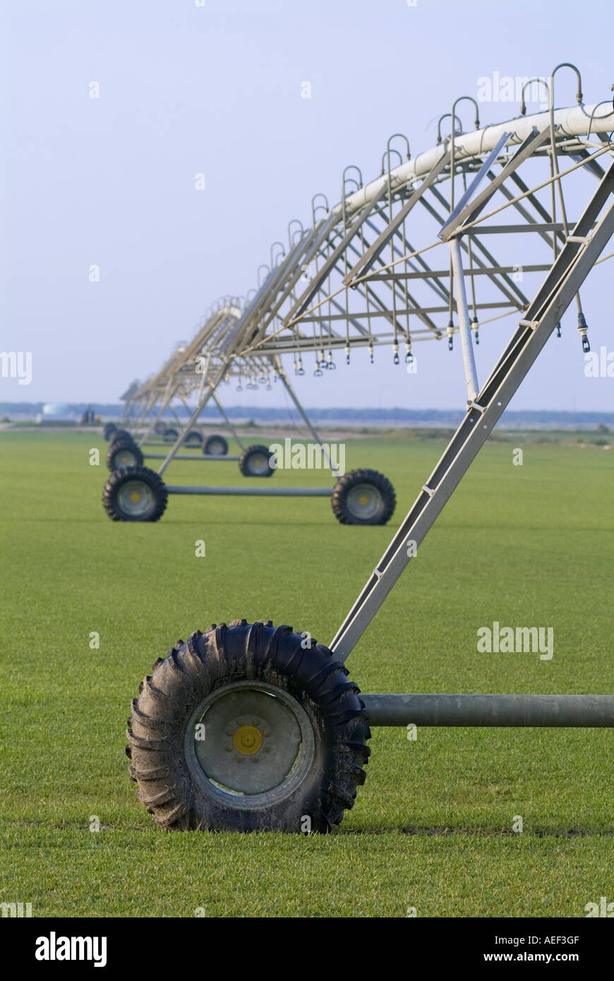 automated circular rotating center pivot irrigation system sod farming