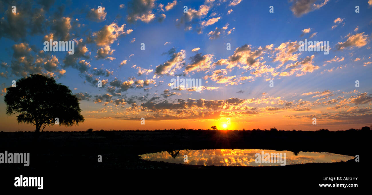 A two picture stitch panoramic sunset over the Serengeti National Park and reflected in a waterhole. Stock Photo