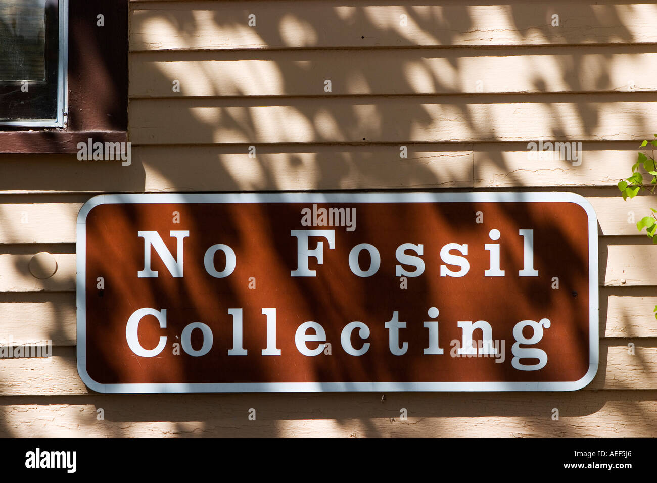 No Fossil Collecting sign at the Florissant Fossil Beds National