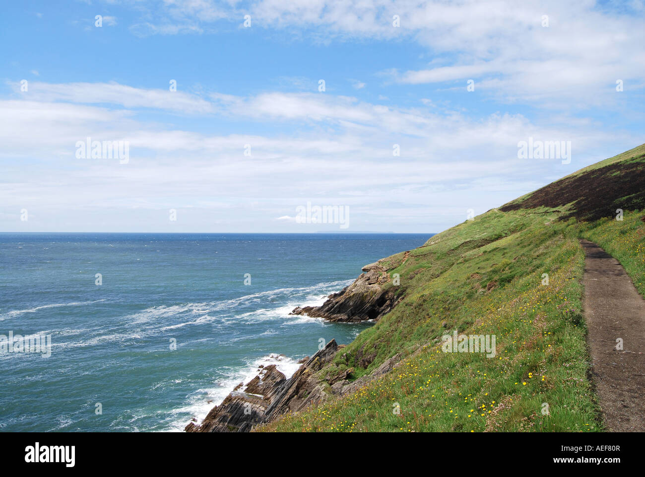 Coastal pathway. Saunton, North Devon Stock Photo - Alamy