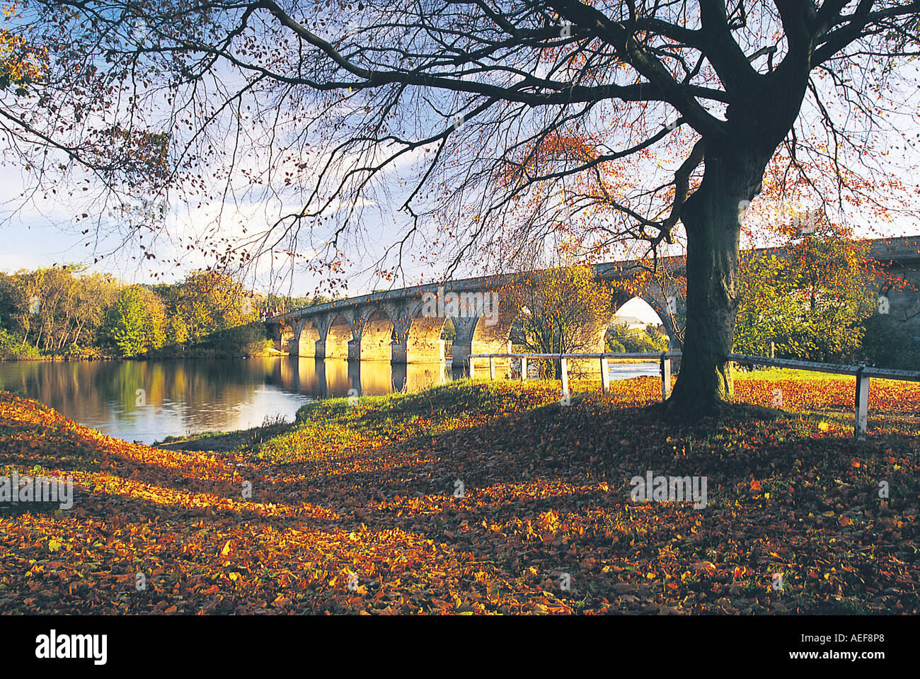 Hexham riverside Northumberland UK Stock Photo - Alamy