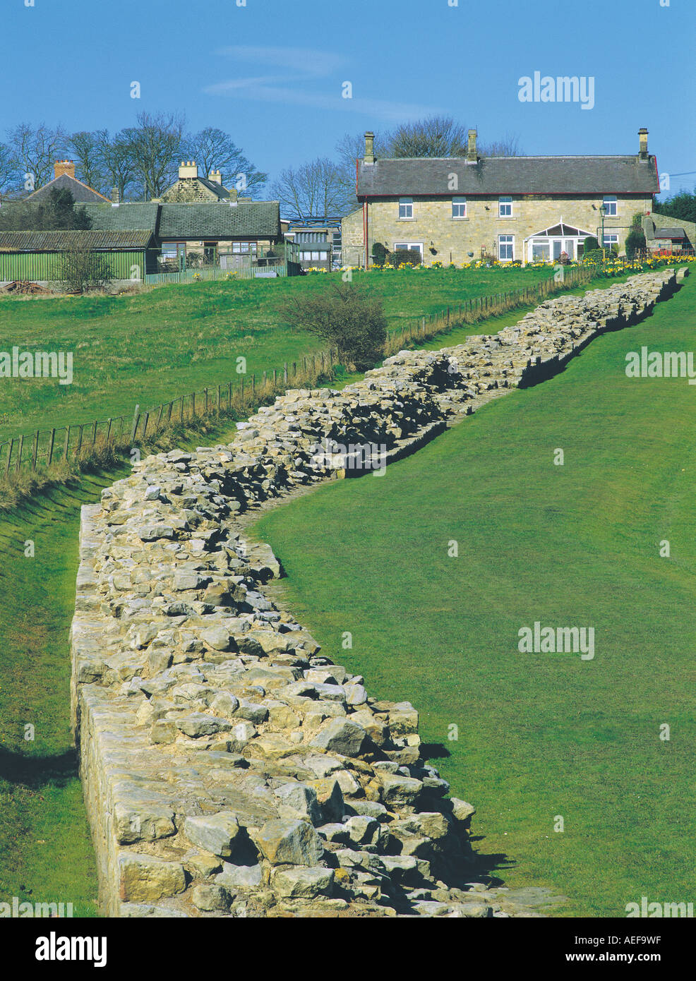 Hadrian's Wall at Heddon on the Wall, Northumberland, UK Stock Photo