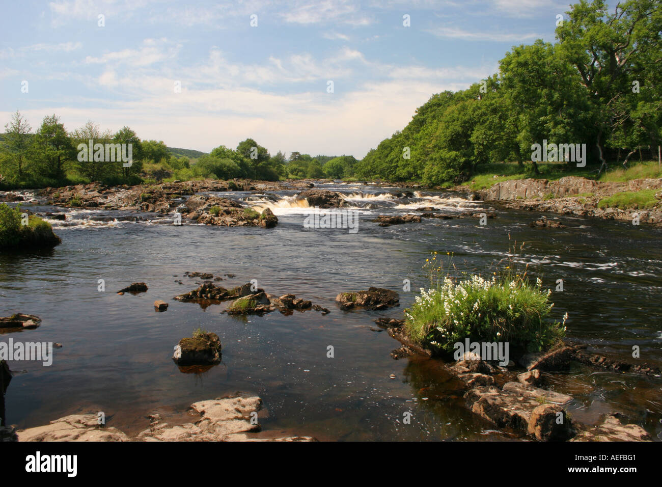The River Tees Above Low Force Upper Teesdale County Durham UK Stock Photo